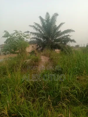 Half Plot of Land Good Location