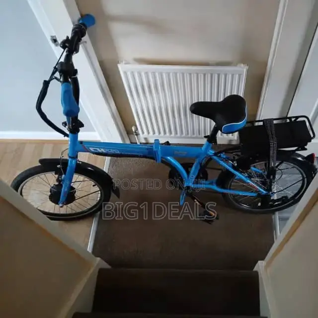 Power Electric Bicycle for Adult