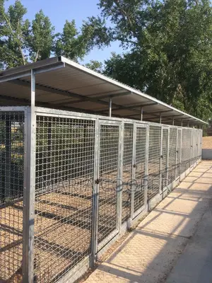 Lr Dog Grooming and Kennel Cleaning Services