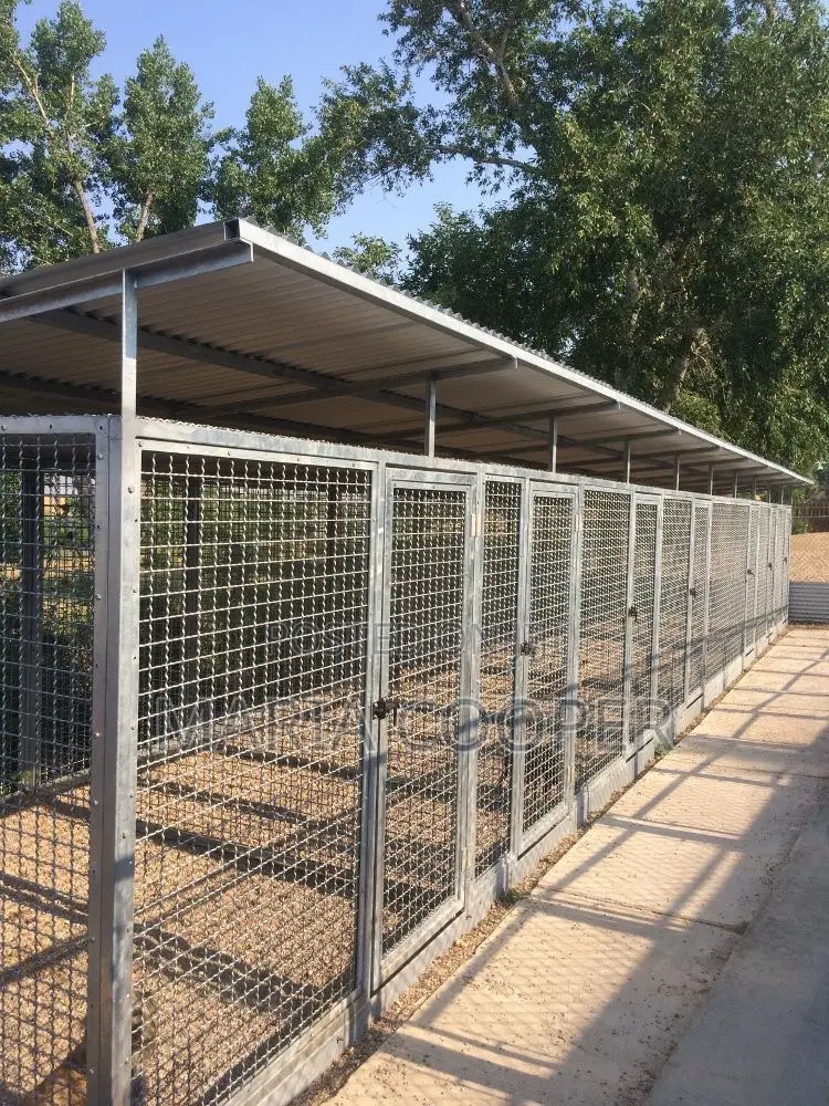 Lr Dog Grooming and Kennel Cleaning Services