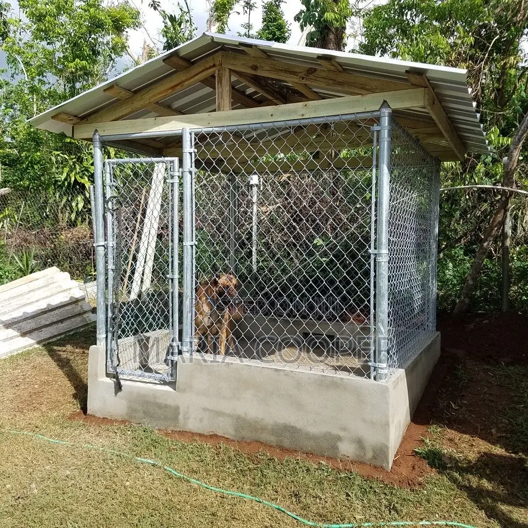 Lr Dog Grooming and Kennel Cleaning Services
