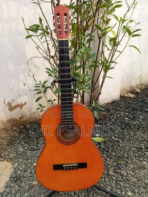 Stagg C442 4/4 Size Classical Guitar in a Padded Bag