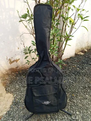 Stagg C442 4/4 Size Classical Guitar in a Padded Bag
