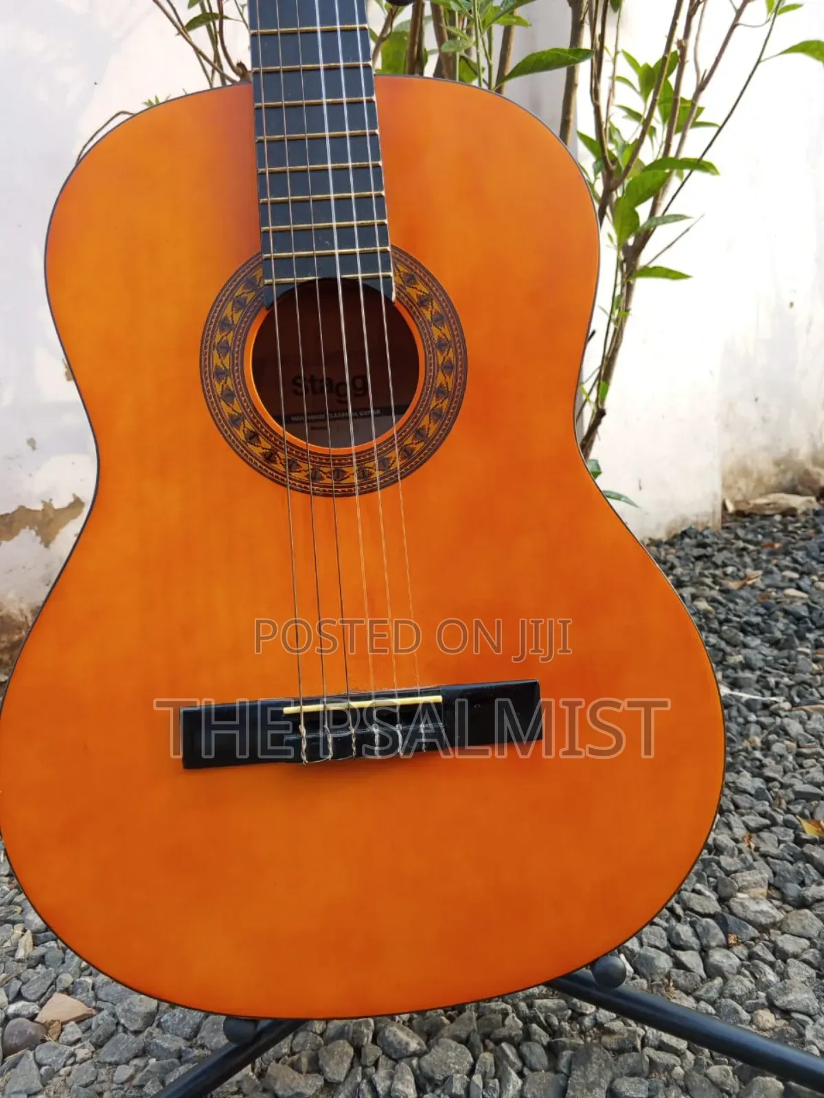 Stagg C442 4/4 Size Classical Guitar in a Padded Bag