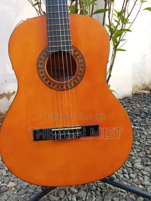 Stagg C442 4/4 Size Classical Guitar in a Padded Bag