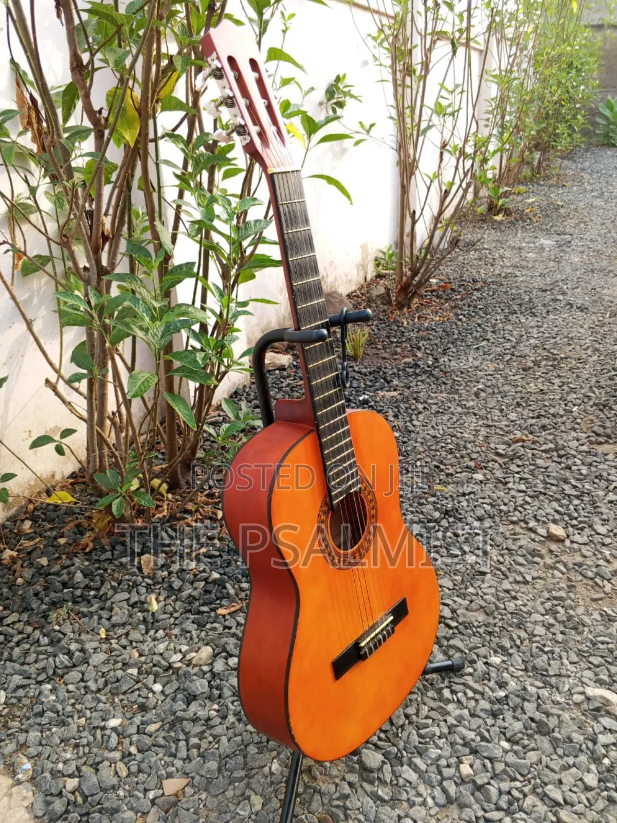 Stagg C442 4/4 Size Classical Guitar in a Padded Bag