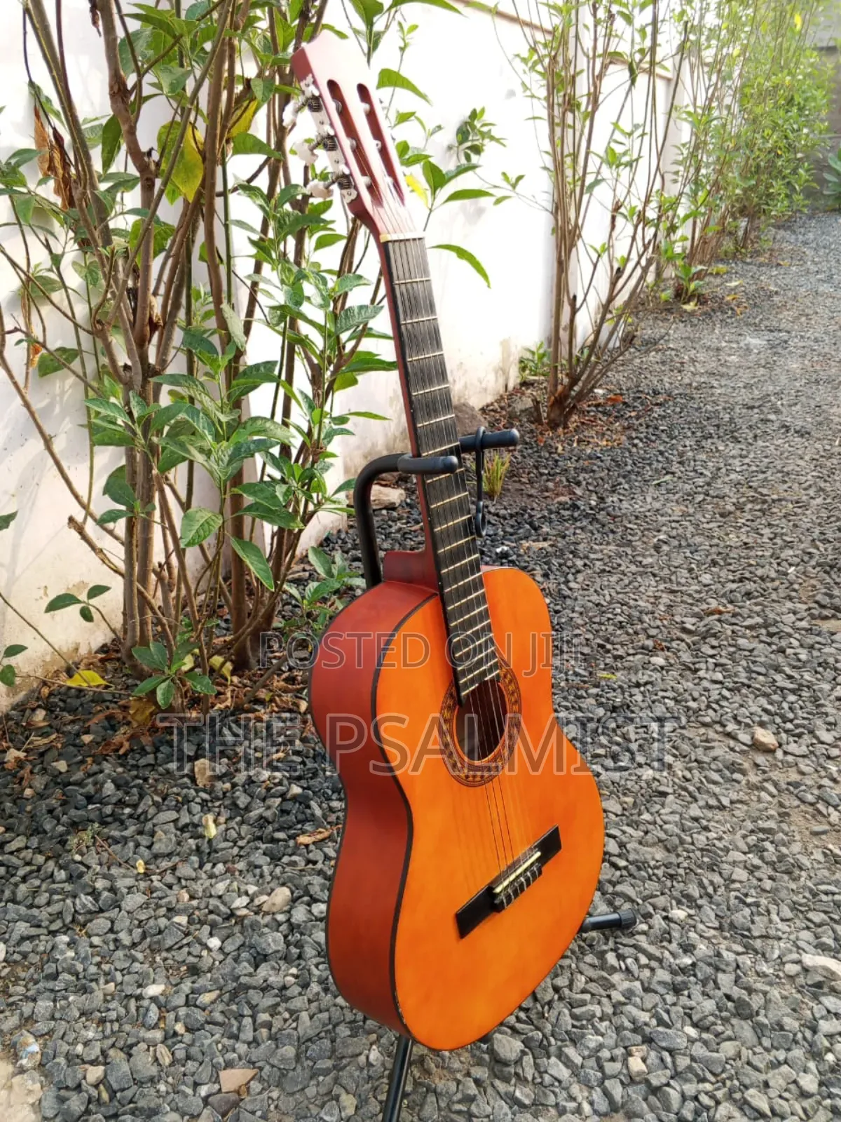 Stagg C442 4/4 Size Classical Guitar in a Padded Bag