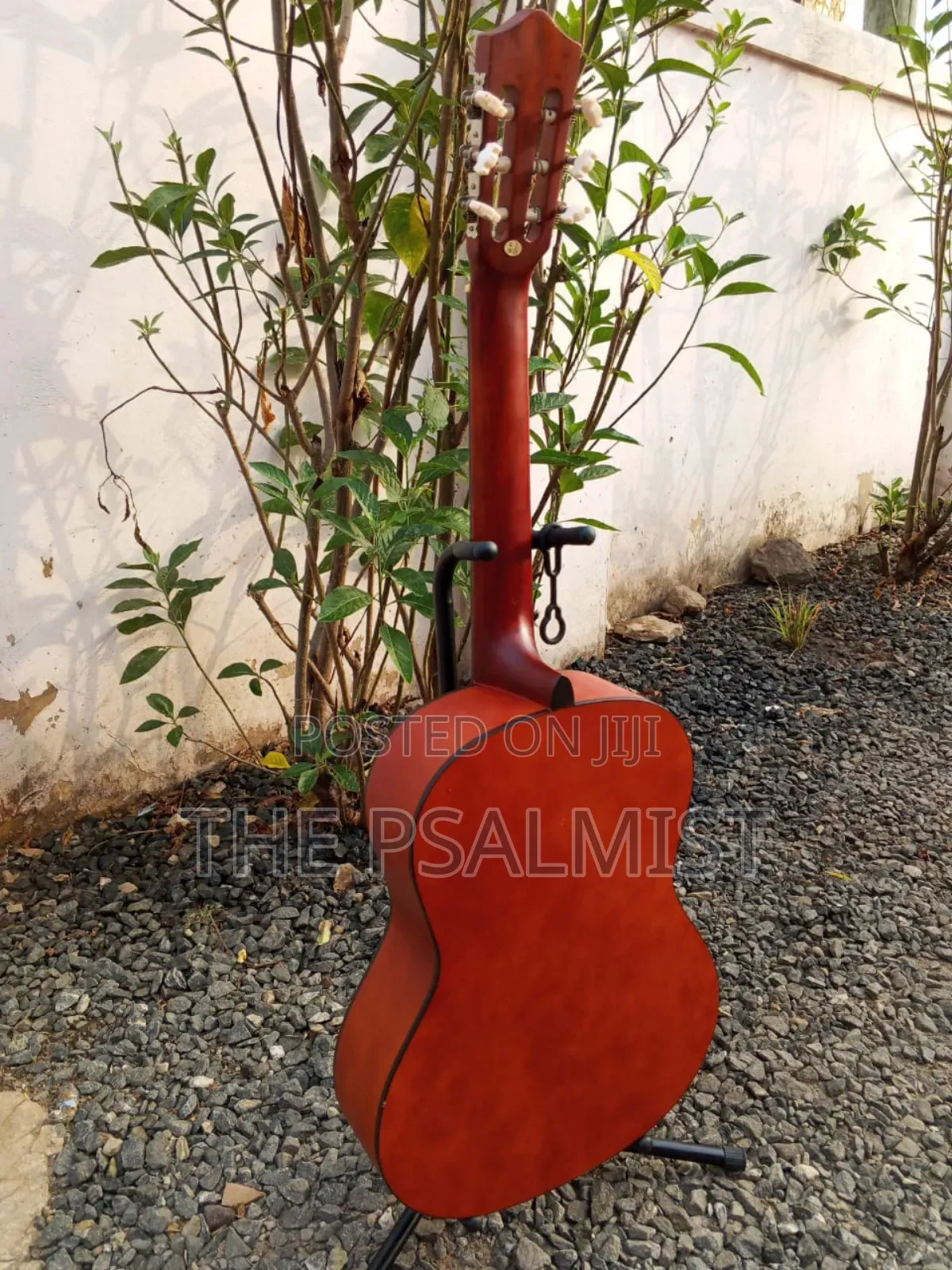 Stagg C442 4/4 Size Classical Guitar in a Padded Bag