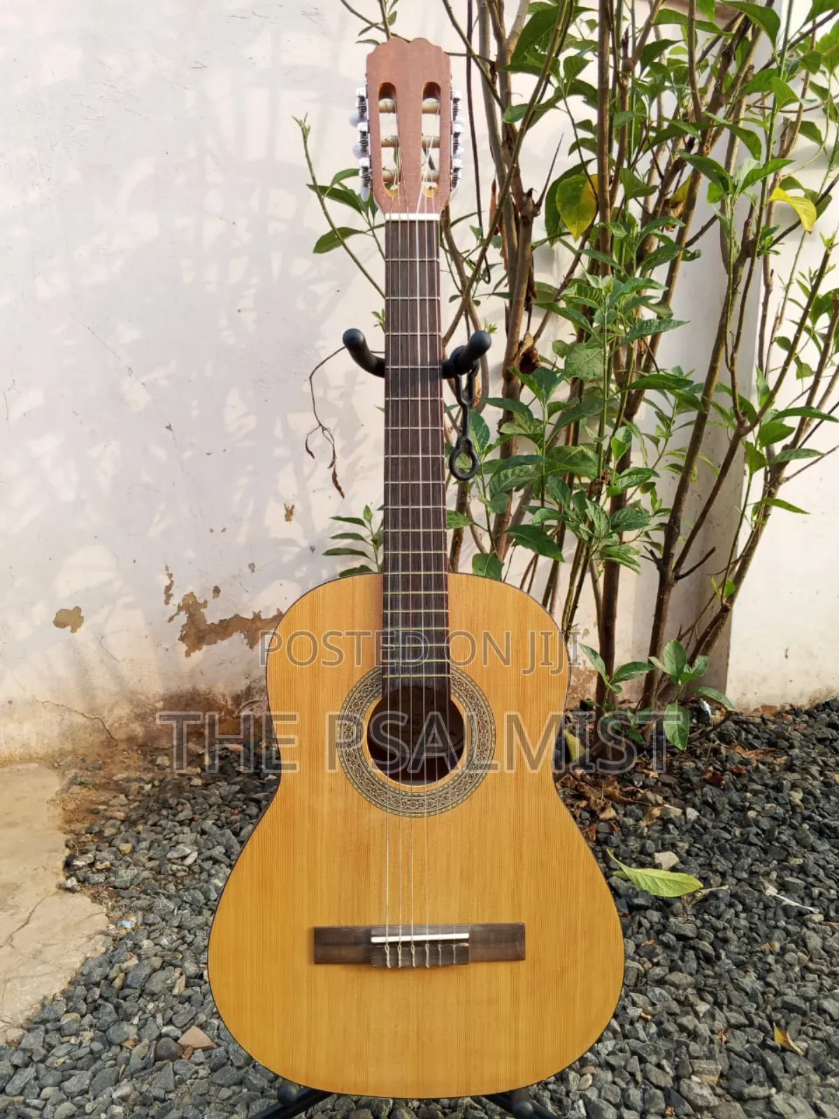 Jose Ribera Hg 623 3/4 Size Classical Guitar in Padded Bag