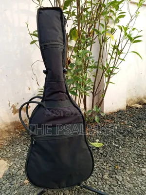 Jose Ribera Hg 623 3/4 Size Classical Guitar in Padded Bag