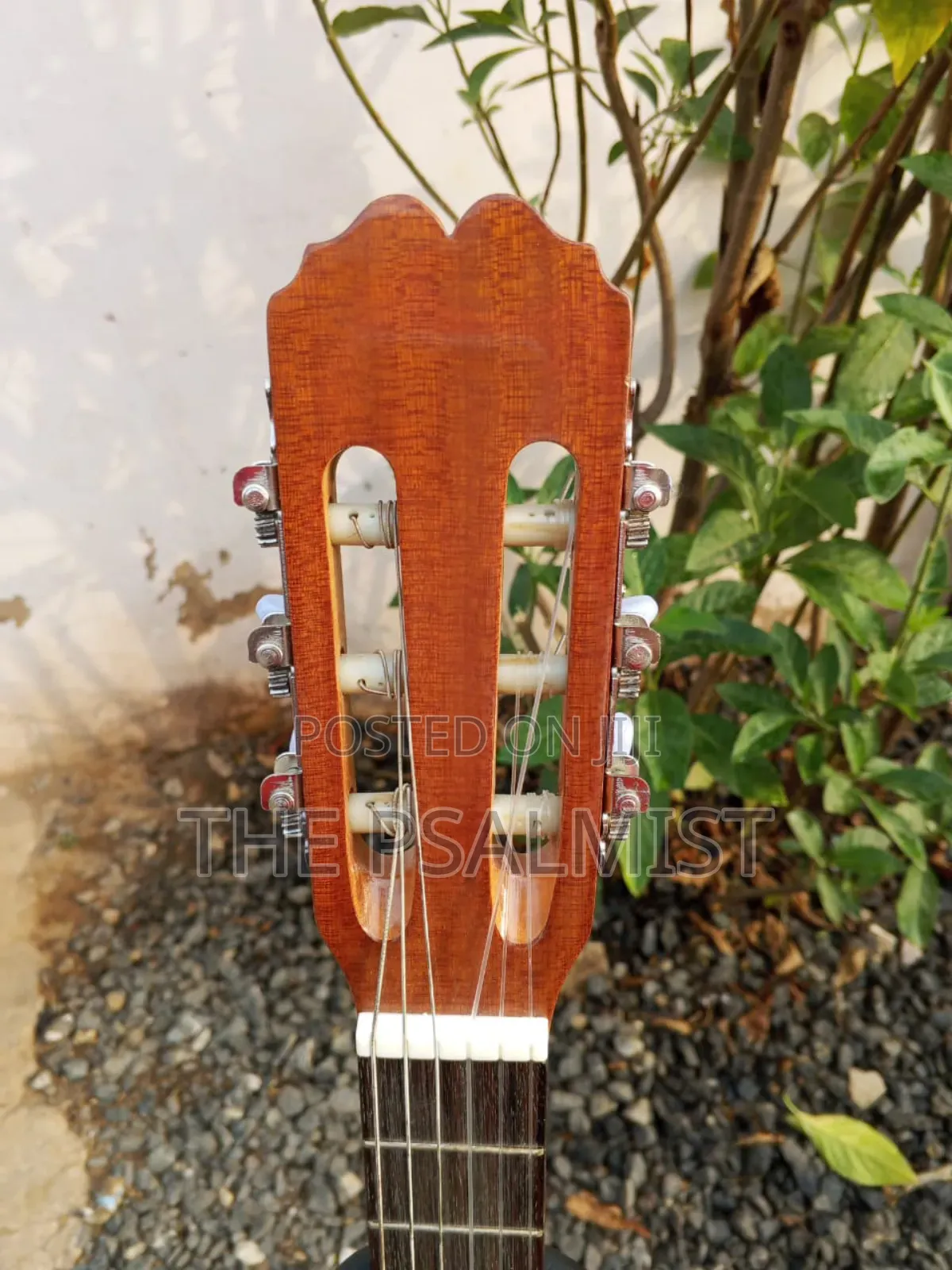 Jose Ribera Hg 623 3/4 Size Classical Guitar in Padded Bag