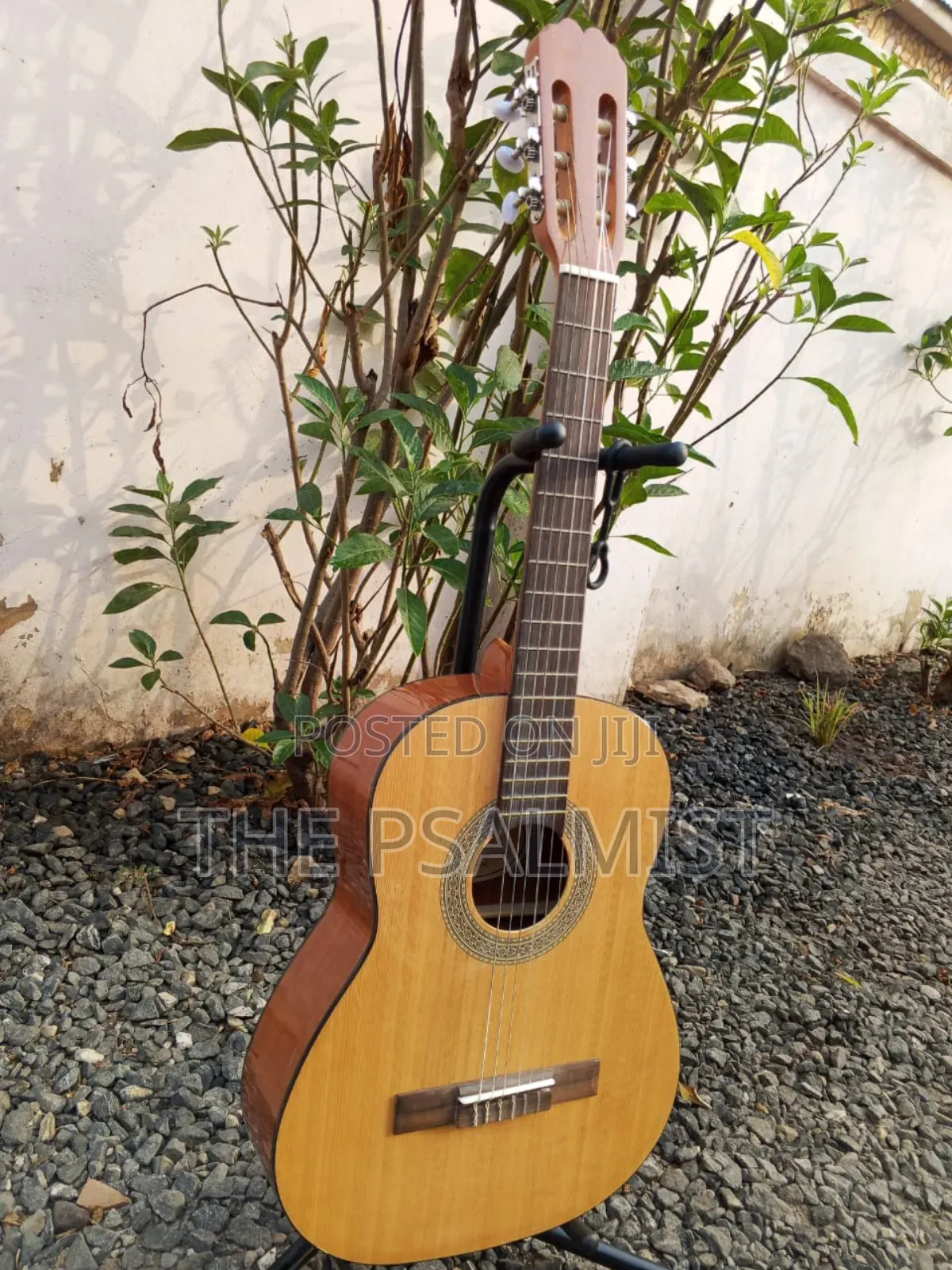 Jose Ribera Hg 623 3/4 Size Classical Guitar in Padded Bag