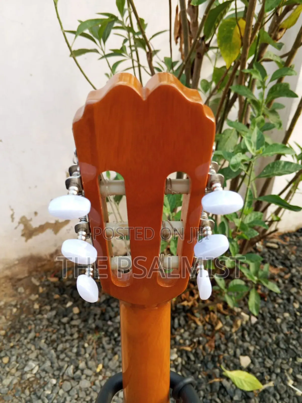 Jose Ribera Hg 623 3/4 Size Classical Guitar in Padded Bag
