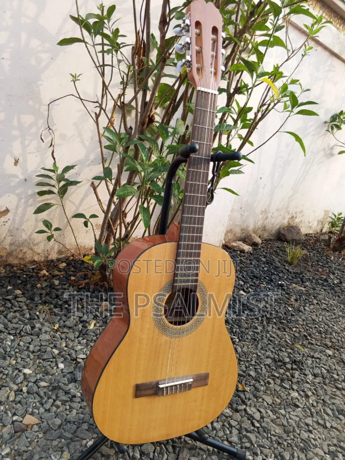 Jose Ribera Hg 623 3/4 Size Classical Guitar in Padded Bag