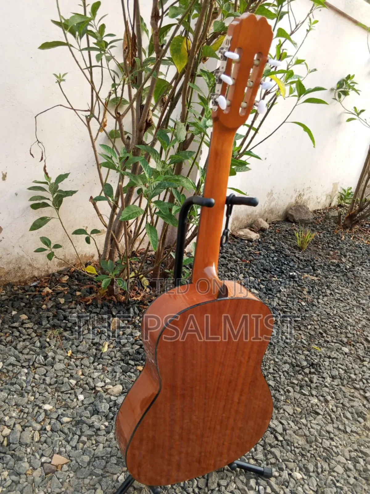 Jose Ribera Hg 623 3/4 Size Classical Guitar in Padded Bag