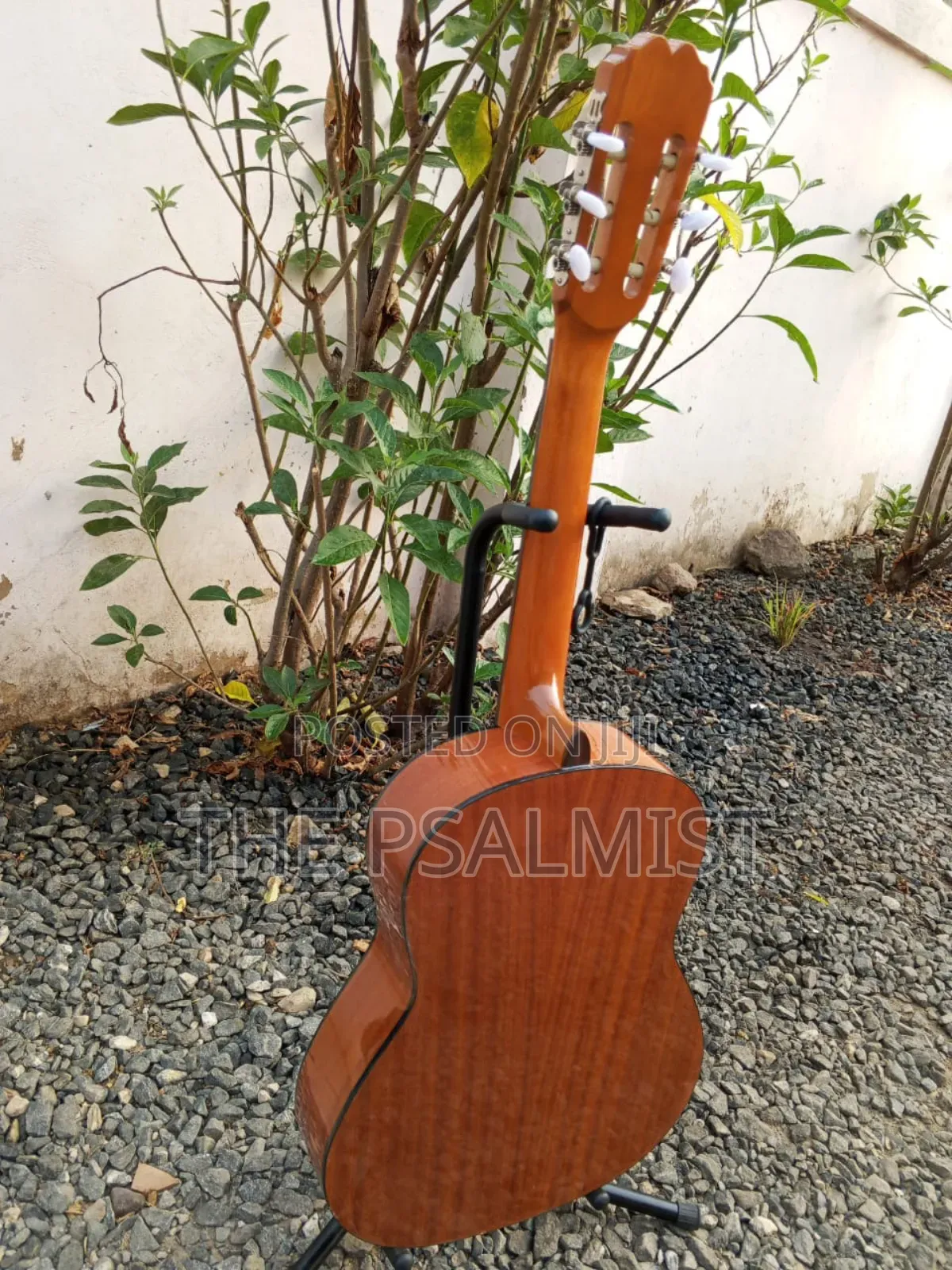 Jose Ribera Hg 623 3/4 Size Classical Guitar in Padded Bag