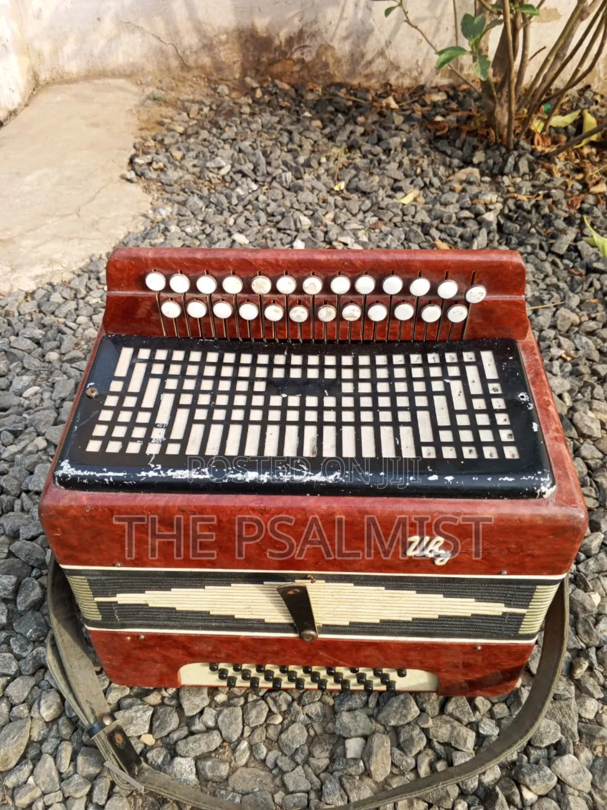 Bayan Vintage (Russian/Ukraine) Button Accordion