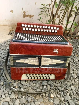 Bayan Vintage (Russian/Ukraine) Button Accordion