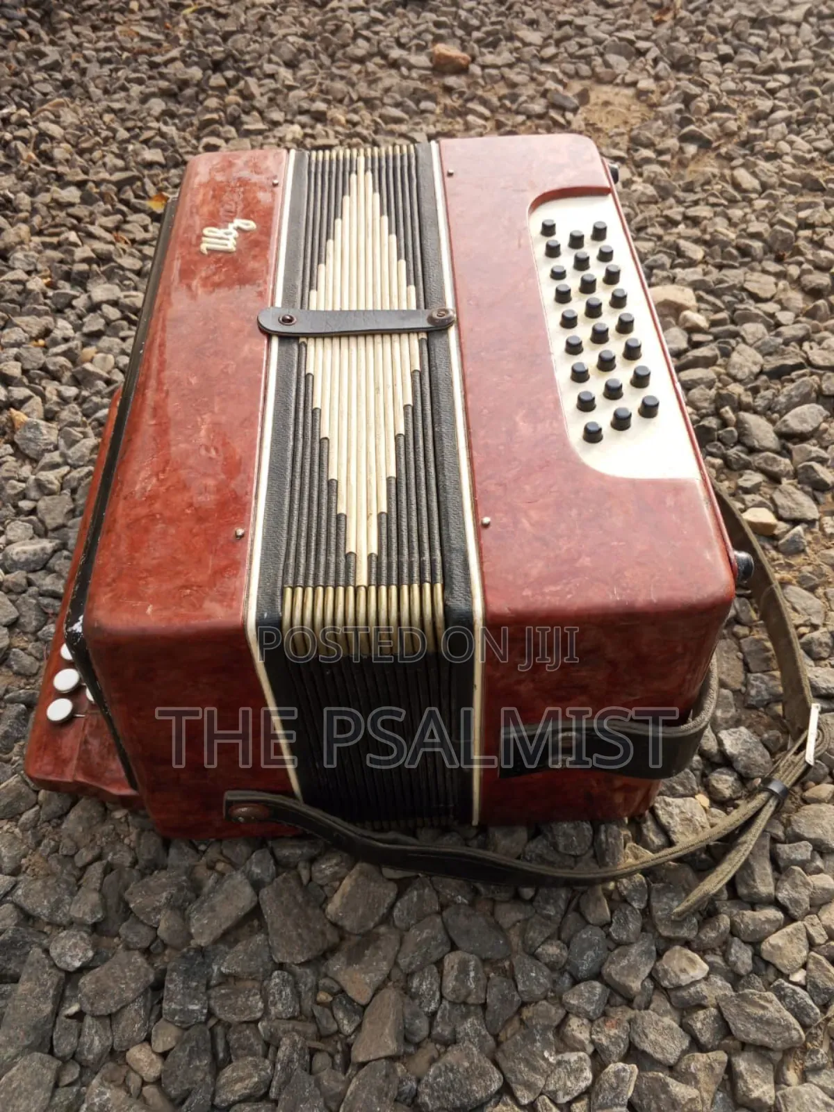 Bayan Vintage (Russian/Ukraine) Button Accordion