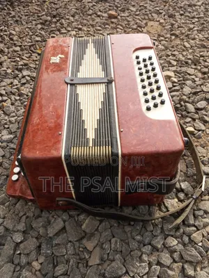 Bayan Vintage (Russian/Ukraine) Button Accordion