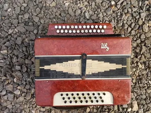 Bayan Vintage (Russian/Ukraine) Button Accordion