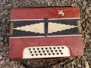 Bayan Vintage (Russian/Ukraine) Button Accordion