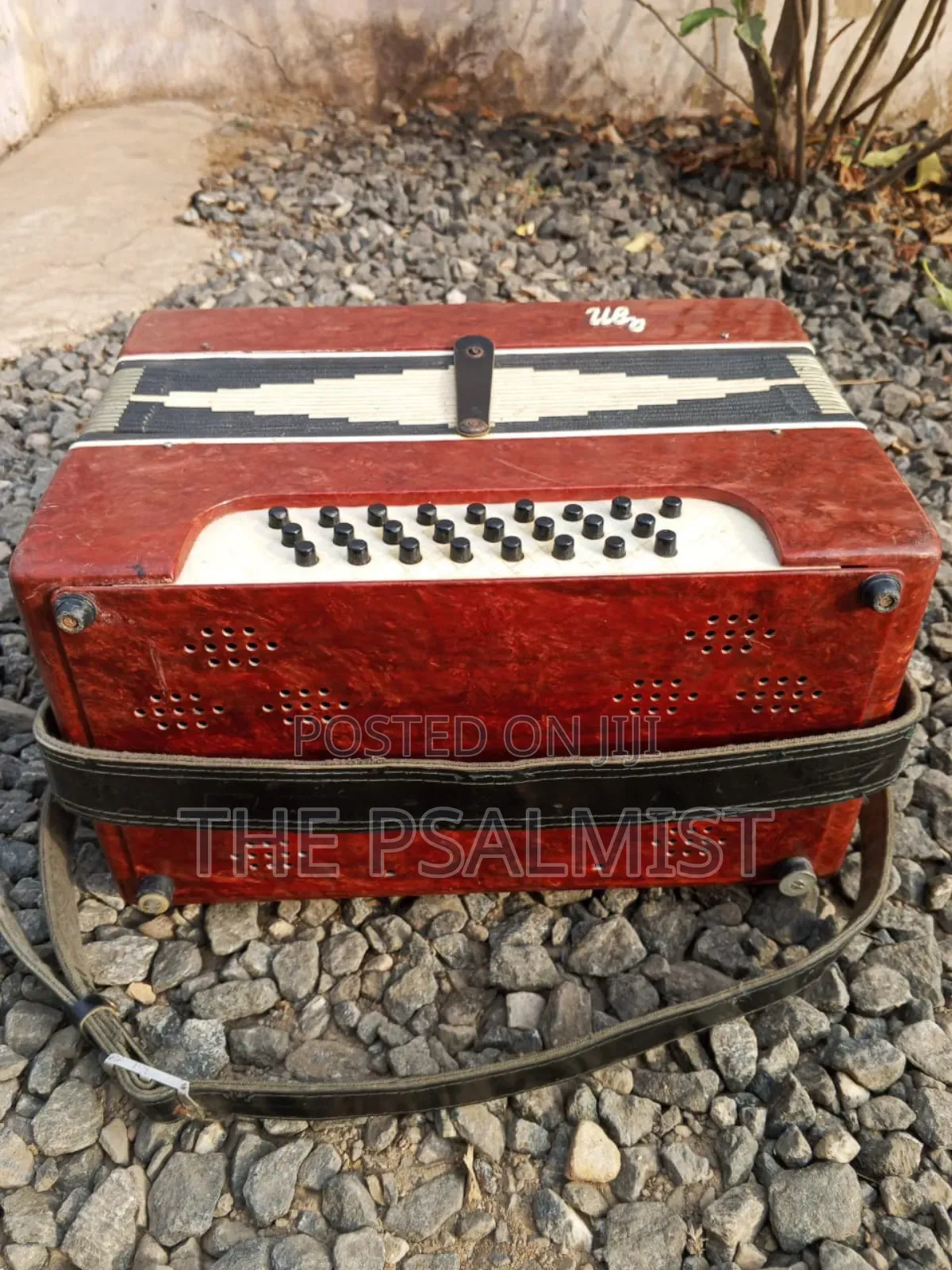 Bayan Vintage (Russian/Ukraine) Button Accordion
