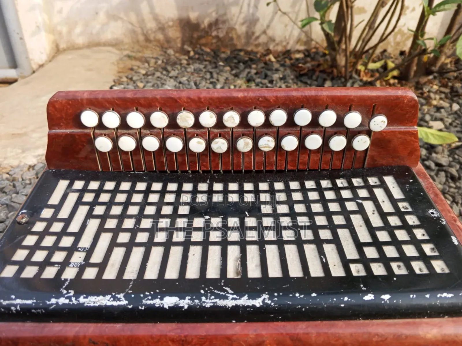Bayan Vintage (Russian/Ukraine) Button Accordion