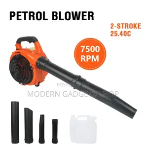 Lightweight Dust/Leaves Blower