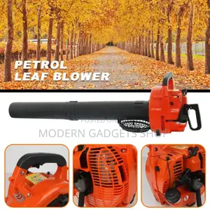 Lightweight Dust/Leaves Blower