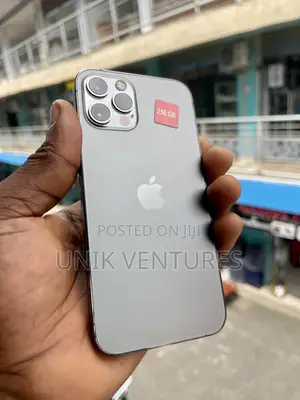 Apple iPhone 12 Pro 256 GB Gray