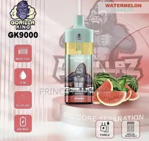 Disposable Vape 9000puffs/ Shisha Pen 9000 Puffs