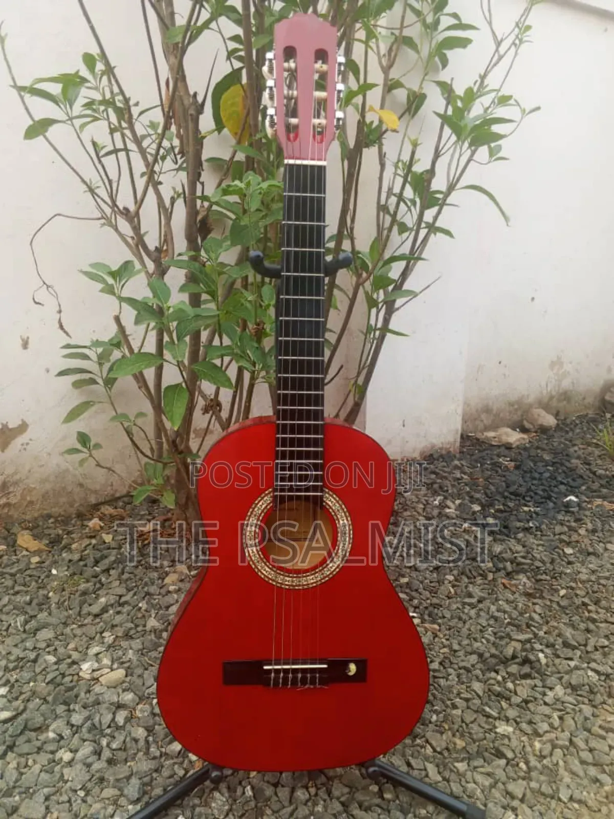 Tenson 3/4 Classical Guitar in a Padded Bag