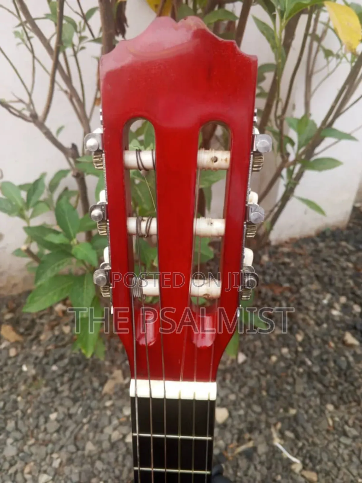 Tenson 3/4 Classical Guitar in a Padded Bag