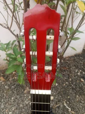 Tenson 3/4 Classical Guitar in a Padded Bag