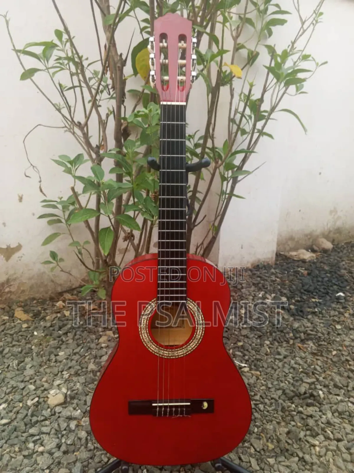 Tenson 3/4 Classical Guitar in a Padded Bag
