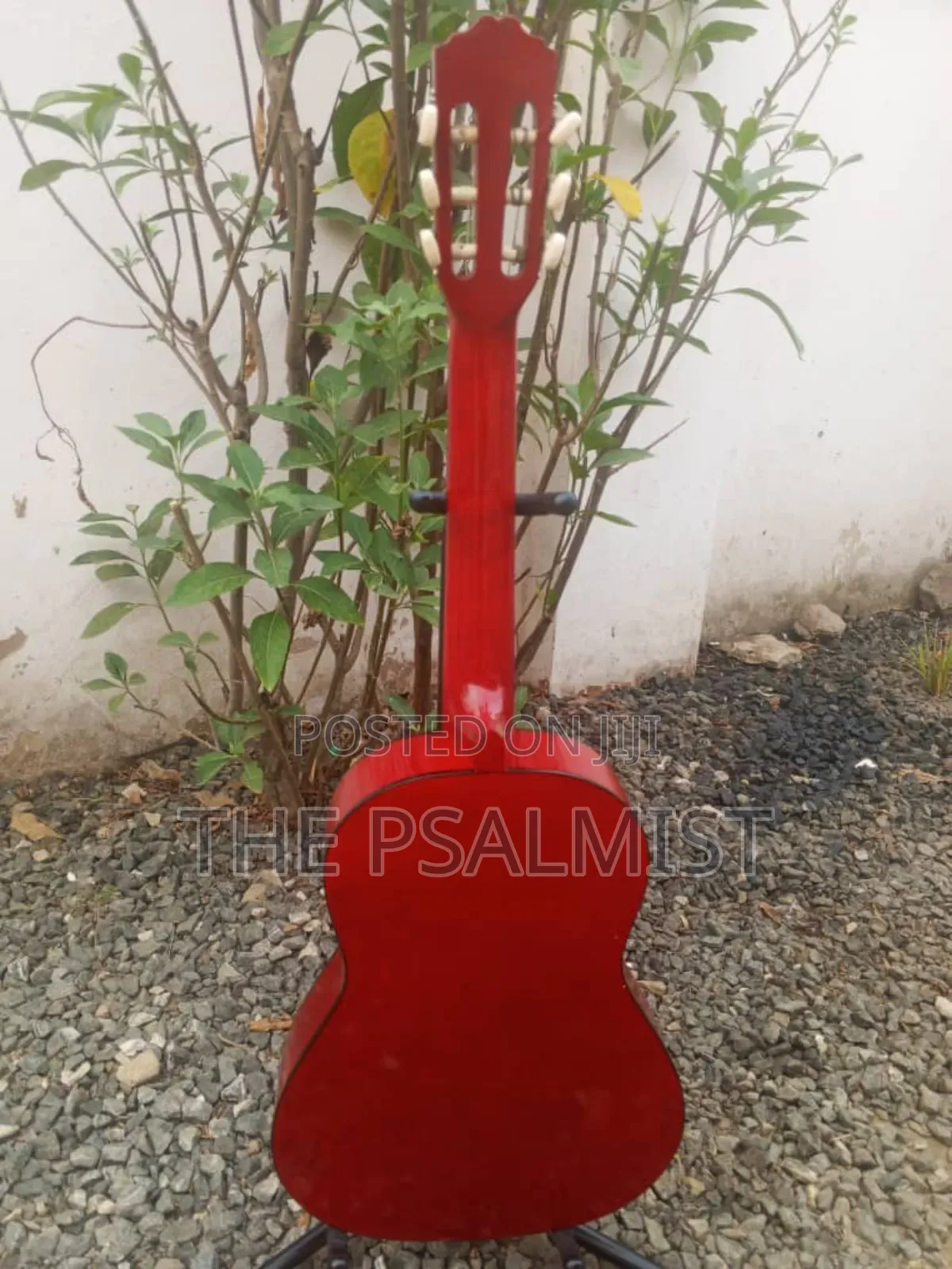 Tenson 3/4 Classical Guitar in a Padded Bag