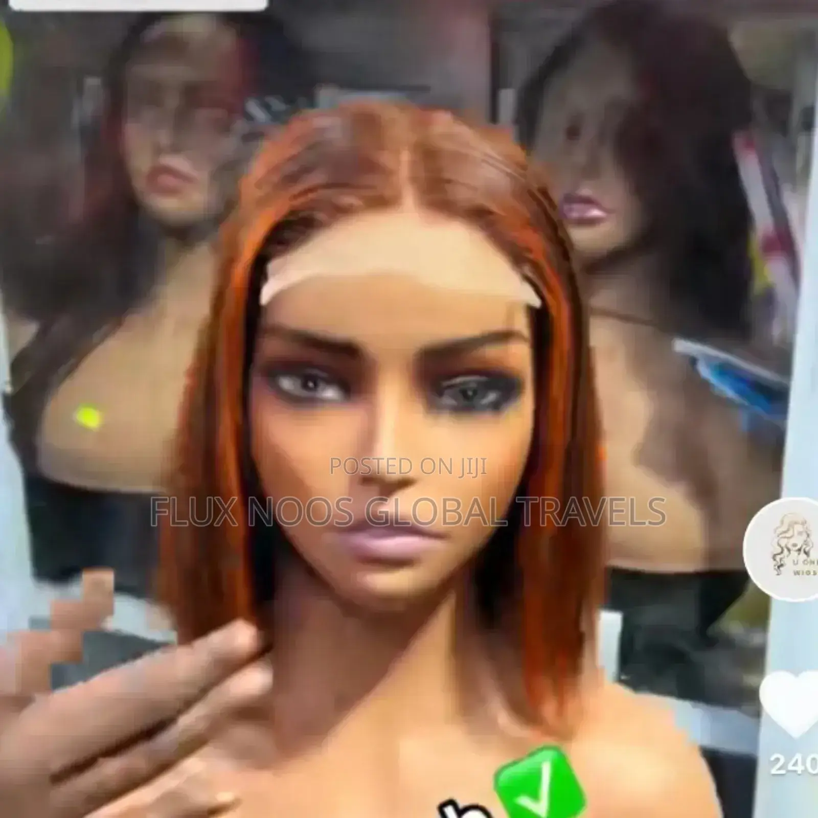 Human Hair 1