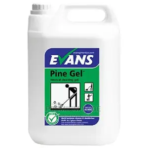Multi Purpose Cleaner And Deodoriser, Pine Gel-evans UK