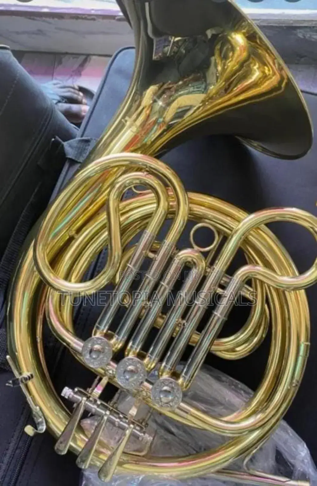 Titanic Gold/Silver-plated Double French Horn