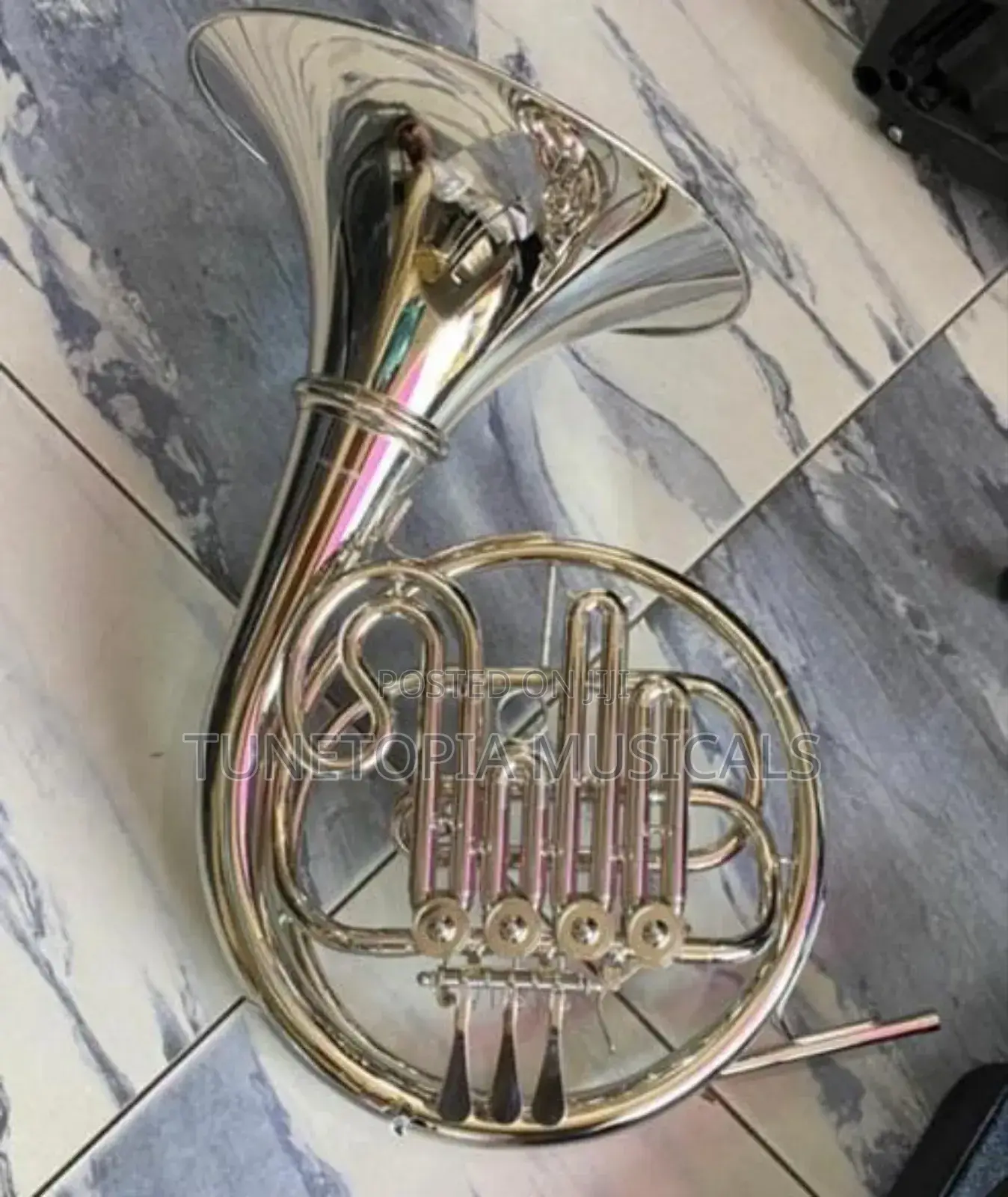 Titanic Gold/Silver-plated Double French Horn