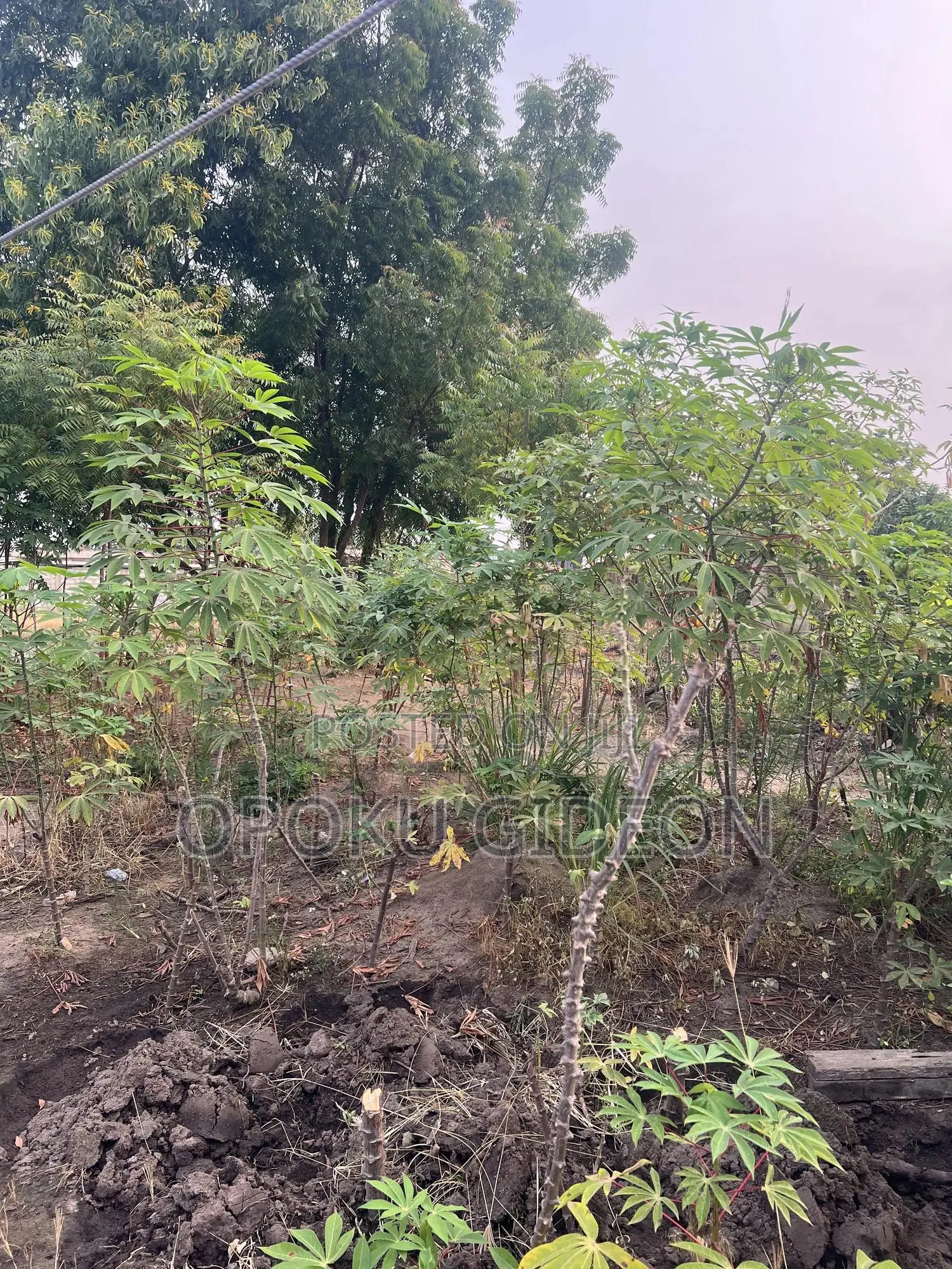 Half Plot of Land for Sale at Ablekuma