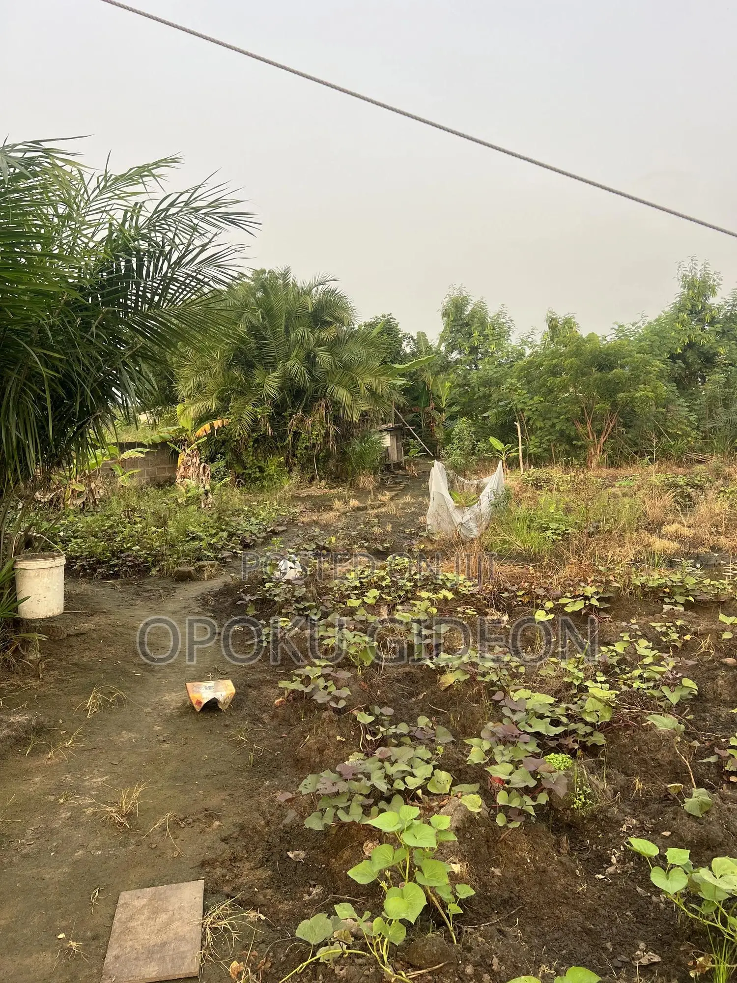 Half Plot of Land for Sale at Ablekuma