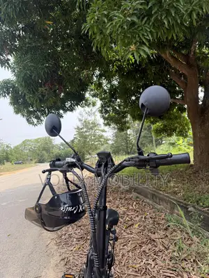 Voltx Cruise Electric Bicycle for Delivery and Personal Use