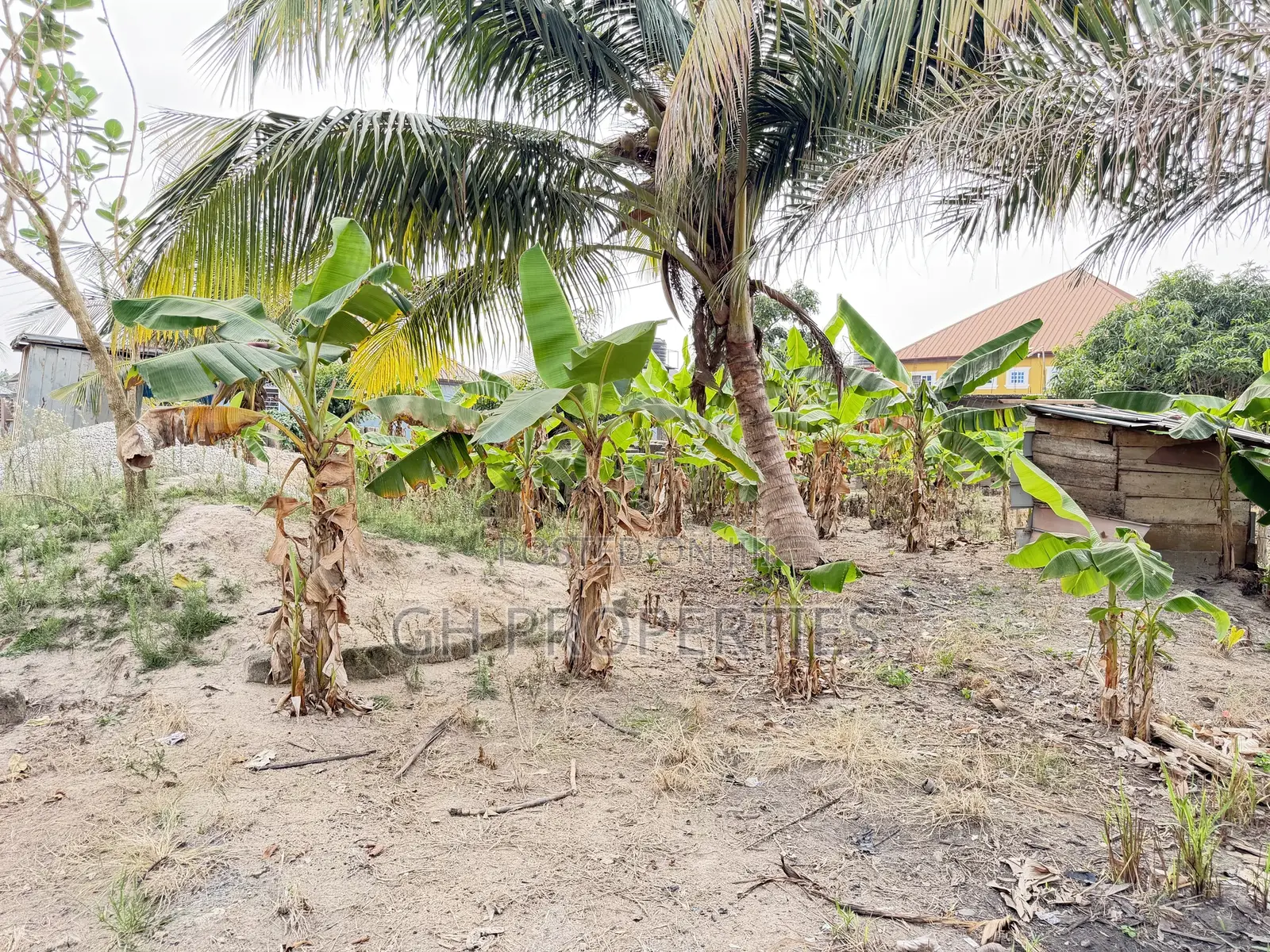 One Plot for Sale at Daban.