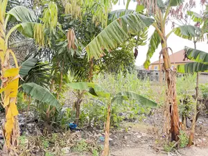 One Plot for Sale at Daban.