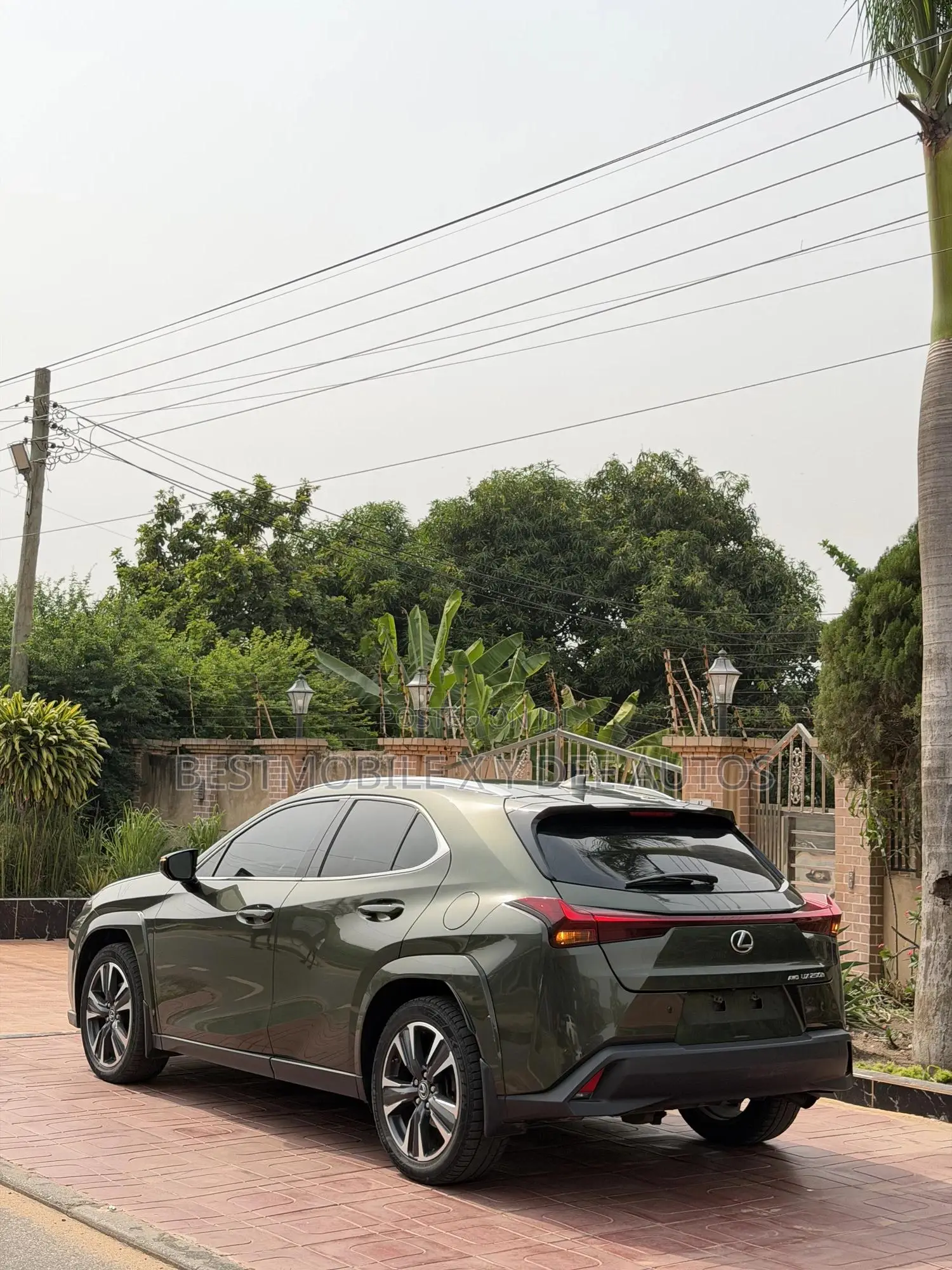 Lexus UX 250h Premium AWD 2024 Green