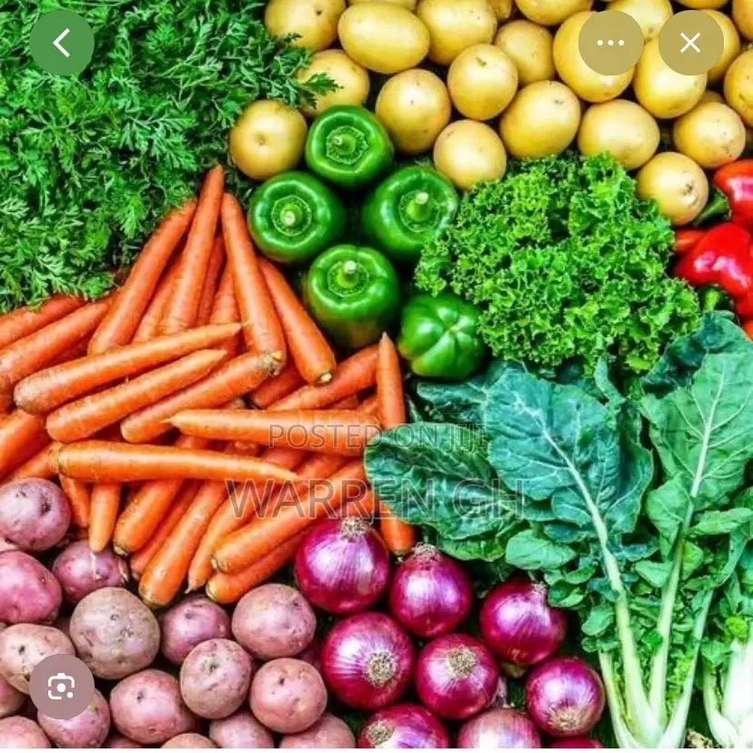 Organic Food and Vegetables