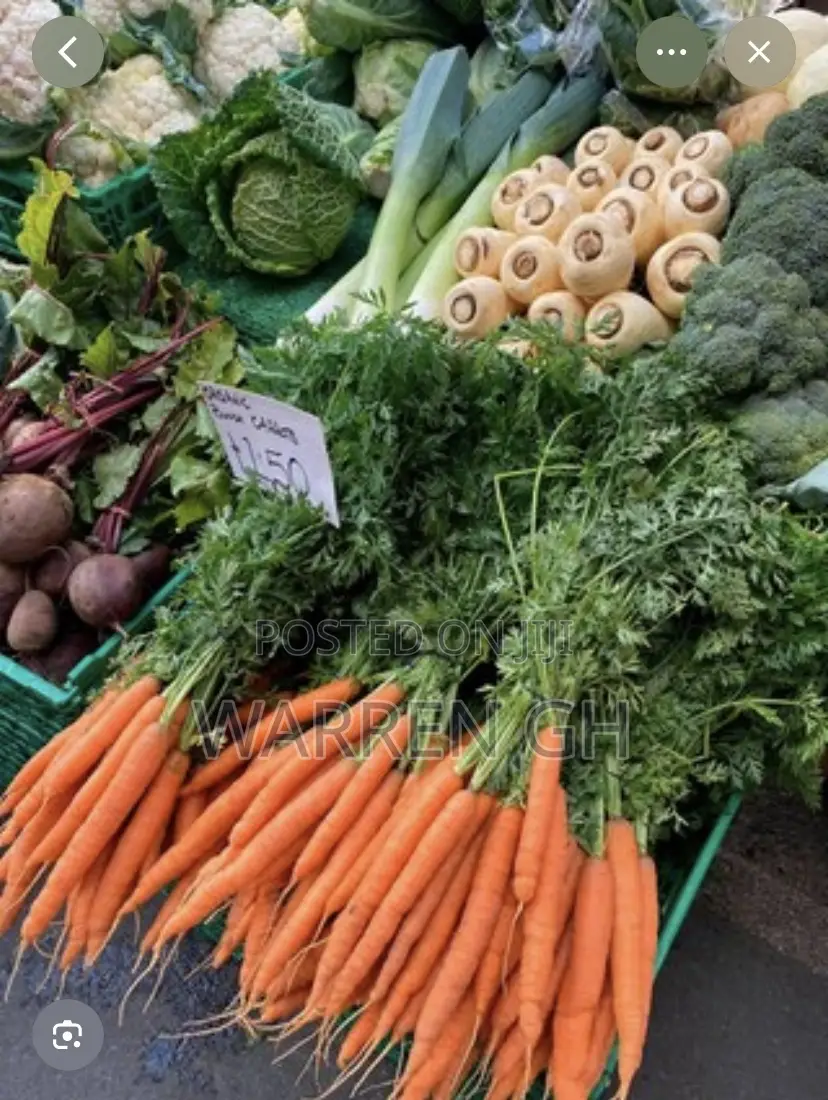 Organic Food and Vegetables