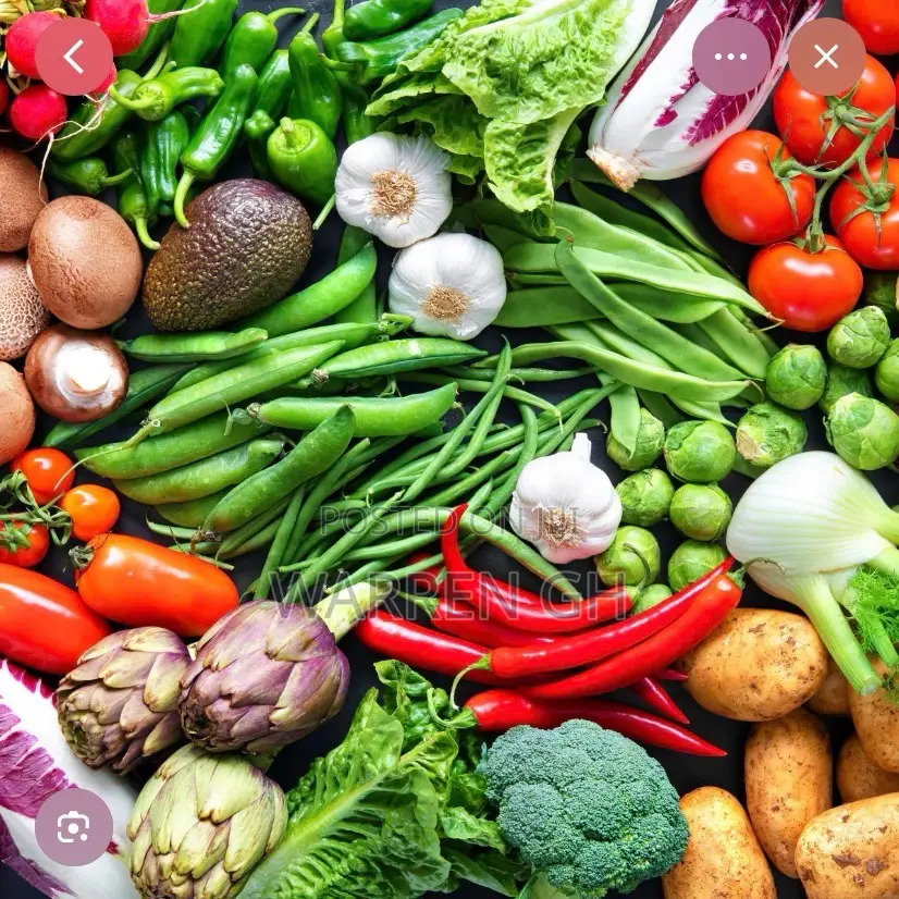Organic Food and Vegetables